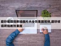 磨砂玻璃隔断墙图片大全效果图视频,磨砂玻璃砖隔断效果图