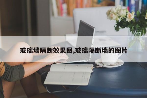 玻璃墙隔断效果图,玻璃隔断墙的图片